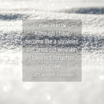 Picture 04 - Psalm 119:83 GW - Although I have become like a shriveled and dried - Bible Verse Picture