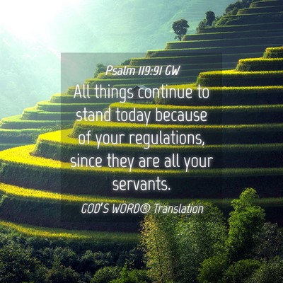 Picture 04 - Psalm 119:91 GW - All things continue to stand today because of - Bible Verse Picture