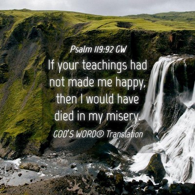 Picture 04 - Psalm 119:92 GW - If your teachings had not made me happy, then I - Bible Verse Picture