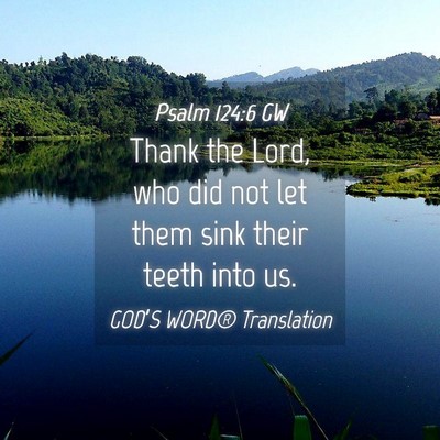 Picture 04 - Psalm 124:6 GW - Thank the Lord, who did not let them sink their - Bible Verse Picture