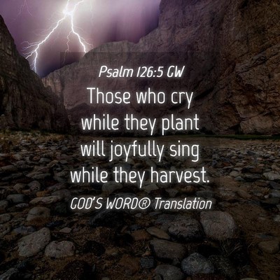 Picture 04 - Psalm 126:5 GW - Those who cry while they plant will joyfully sing - Bible Verse Picture