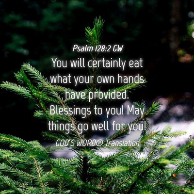 Picture 04 - Psalm 128:2 GW - You will certainly eat what your own hands have - Bible Verse Picture