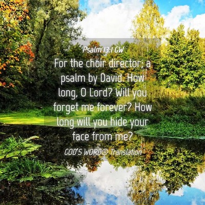 Picture 04 - Psalm 13:1 GW - For the choir director; a psalm by David. How - Bible Verse Picture