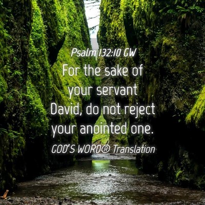Picture 04 - Psalm 132:10 GW - For the sake of your servant David, do not reject - Bible Verse Picture