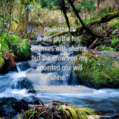 Picture 04 - Psalm 132:18 GW - I will clothe his enemies with shame, but the - Bible Verse Picture