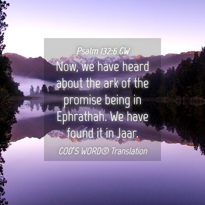 Picture 04 - Psalm 132:6 GW - Now, we have heard about the ark of the promise - Bible Verse Picture