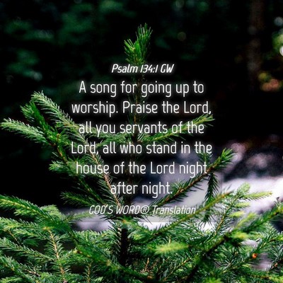 Picture 04 - Psalm 134:1 GW - A song for going up to worship. Praise the Lord, - Bible Verse Picture