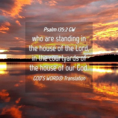 Picture 04 - Psalm 135:2 GW - who are standing in the house of the Lord, in the - Bible Verse Picture