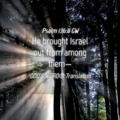 Picture 04 - Psalm 136:11 GW - He brought Israel out from among - Bible Verse Picture