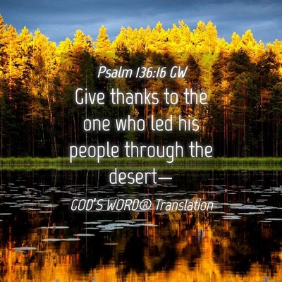 Picture 04 - Psalm 136:16 GW - Give thanks to the one who led his people through - Bible Verse Picture