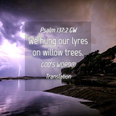 Picture 04 - Psalm 137:2 GW - We hung our lyres on willow - Bible Verse Picture