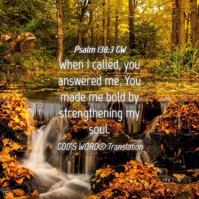 Picture 04 - Psalm 138:3 GW - When I called, you answered me. You made me bold - Bible Verse Picture
