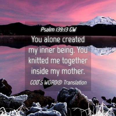 Picture 04 - Psalm 139:13 GW - You alone created my inner being. You knitted me - Bible Verse Picture