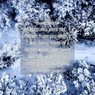 Picture 04 - Psalm 139:15 GW - My bones were not hidden from you when I was - Bible Verse Picture