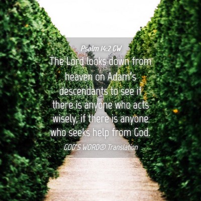Picture 04 - Psalm 14:2 GW - The Lord looks down from heaven on Adam’s - Bible Verse Picture