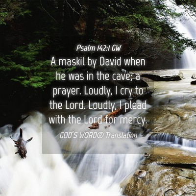Picture 04 - Psalm 142:1 GW - A maskil by David when he was in the cave; a - Bible Verse Picture