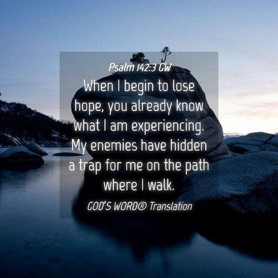 Picture 04 - Psalm 142:3 GW - When I begin to lose hope, you already know what - Bible Verse Picture