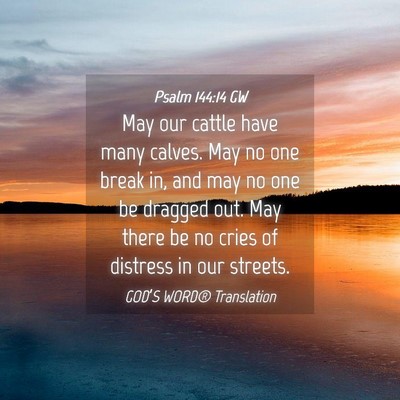 Picture 04 - Psalm 144:14 GW - May our cattle have many calves. May no one break - Bible Verse Picture