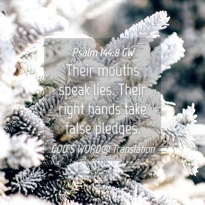 Picture 04 - Psalm 144:8 GW - Their mouths speak lies. Their right hands take - Bible Verse Picture