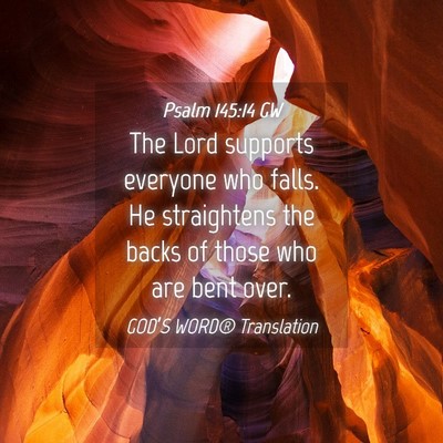 Picture 04 - Psalm 145:14 GW - The Lord supports everyone who falls. He - Bible Verse Picture