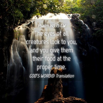 Picture 04 - Psalm 145:15 GW - The eyes of all creatures look to you, and you - Bible Verse Picture