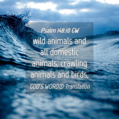 Picture 04 - Psalm 148:10 GW - wild animals and all domestic animals, crawling - Bible Verse Picture