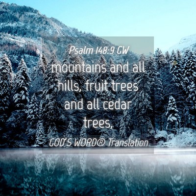 Picture 04 - Psalm 148:9 GW - mountains and all hills, fruit trees and all - Bible Verse Picture