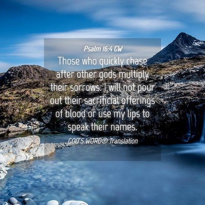 Picture 04 - Psalm 16:4 GW - Those who quickly chase after other gods multiply - Bible Verse Picture