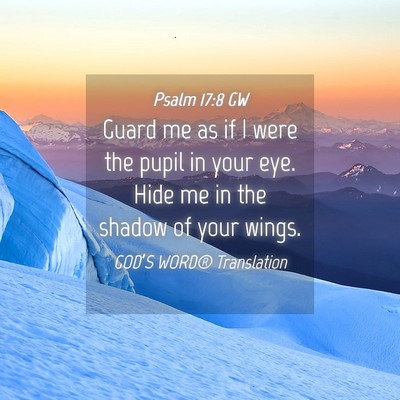 Picture 04 - Psalm 17:8 GW - Guard me as if I were the pupil in your eye. Hide - Bible Verse Picture
