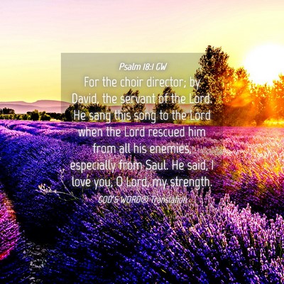 Picture 04 - Psalm 18:1 GW - For the choir director; by David, the servant of - Bible Verse Picture