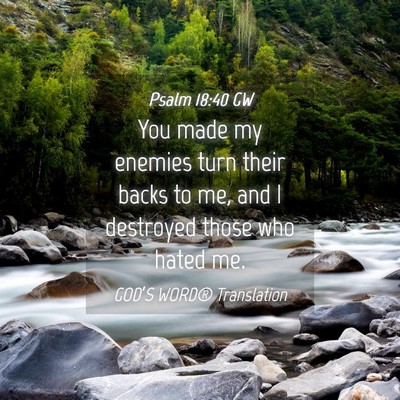 Picture 04 - Psalm 18:40 GW - You made my enemies turn their backs to me, and I - Bible Verse Picture