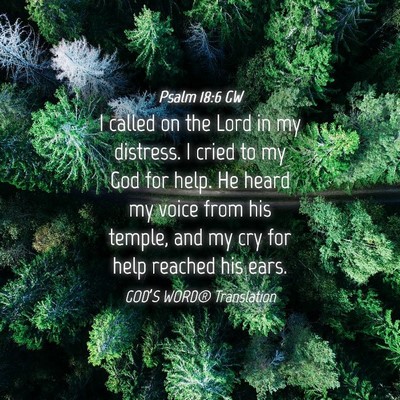 Picture 04 - Psalm 18:6 GW - I called on the Lord in my distress. I cried to - Bible Verse Picture