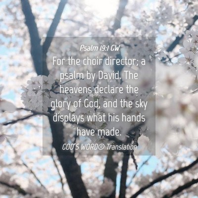Picture 04 - Psalm 19:1 GW - For the choir director; a psalm by David. The - Bible Verse Picture