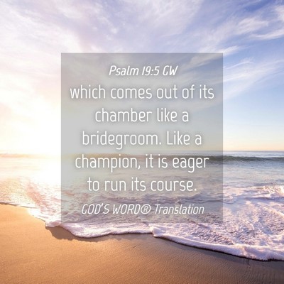 Picture 04 - Psalm 19:5 GW - which comes out of its chamber like a bridegroom. - Bible Verse Picture