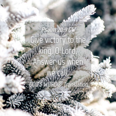 Picture 04 - Psalm 20:9 GW - Give victory to the king, O Lord. Answer us when - Bible Verse Picture
