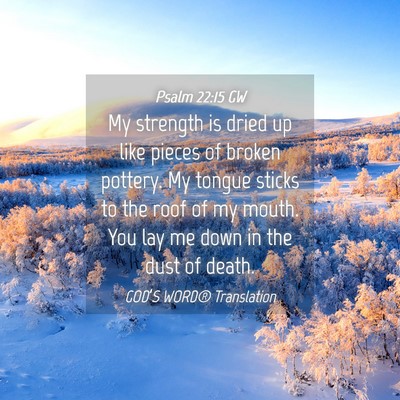 Picture 04 - Psalm 22:15 GW - My strength is dried up like pieces of broken - Bible Verse Picture