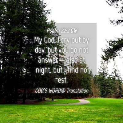 Picture 04 - Psalm 22:2 GW - My God, I cry out by day, but you do not - Bible Verse Picture