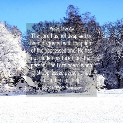 Picture 04 - Psalm 22:24 GW - The Lord has not despised or been disgusted with - Bible Verse Picture