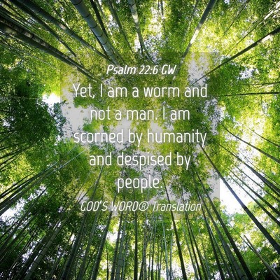 Picture 04 - Psalm 22:6 GW - Yet, I am a worm and not a man. I am scorned by - Bible Verse Picture