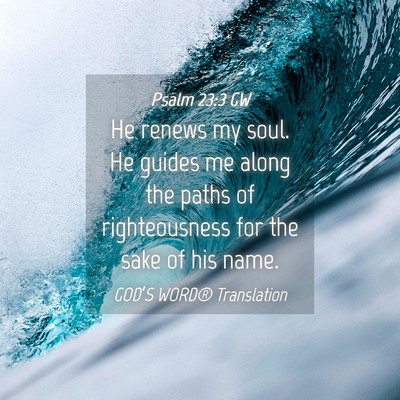 Picture 04 - Psalm 23:3 GW - He renews my soul. He guides me along the paths - Bible Verse Picture