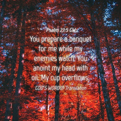 Picture 04 - Psalm 23:5 GW - You prepare a banquet for me while my enemies - Bible Verse Picture