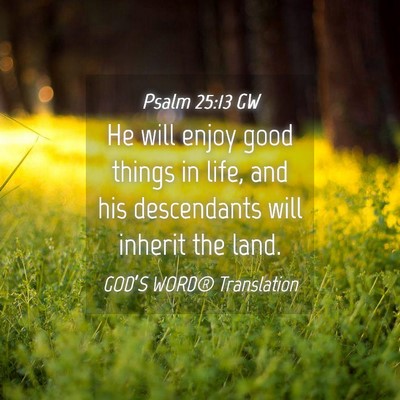 Picture 04 - Psalm 25:13 GW - He will enjoy good things in life, and his - Bible Verse Picture