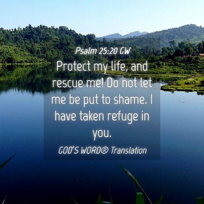 Picture 04 - Psalm 25:20 GW - Protect my life, and rescue me! Do not let me be - Bible Verse Picture