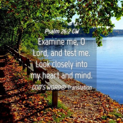 Picture 04 - Psalm 26:2 GW - Examine me, O Lord, and test me. Look closely - Bible Verse Picture