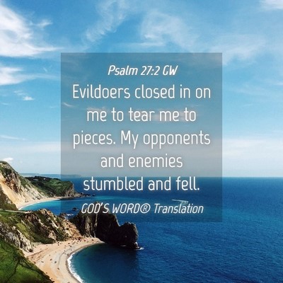 Picture 04 - Psalm 27:2 GW - Evildoers closed in on me to tear me to pieces. - Bible Verse Picture