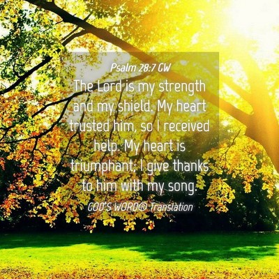 Picture 04 - Psalm 28:7 GW - The Lord is my strength and my shield. My heart - Bible Verse Picture