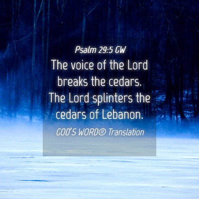 Picture 04 - Psalm 29:5 GW - The voice of the Lord breaks the cedars. The Lord - Bible Verse Picture