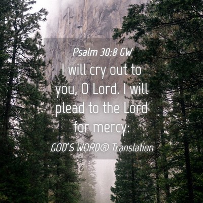 Picture 04 - Psalm 30:8 GW - I will cry out to you, O Lord. I will plead to - Bible Verse Picture