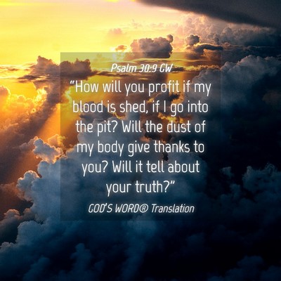 Picture 04 - Psalm 30:9 GW - “How will you profit if my blood is shed, if I - Bible Verse Picture