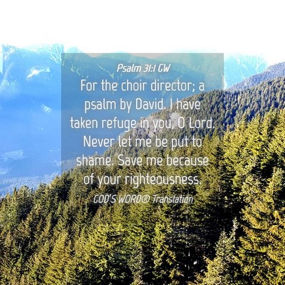 Picture 04 - Psalm 31:1 GW - For the choir director; a psalm by David. I have - Bible Verse Picture